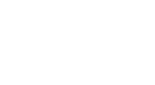 Rogue Hobbies